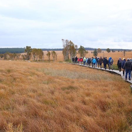 Le Brocard Des Fagnes - 16 Pers Malmedy Villa Eksteriør billede