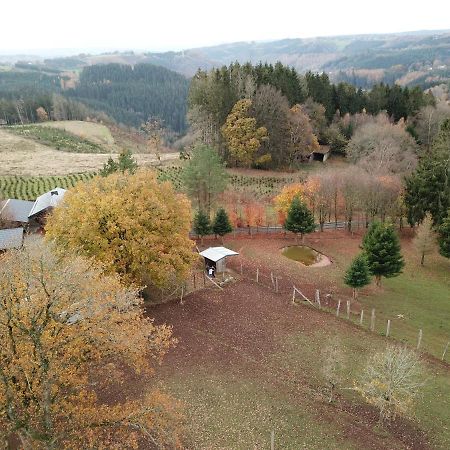 Le Brocard Des Fagnes - 16 Pers Malmedy Villa Eksteriør billede