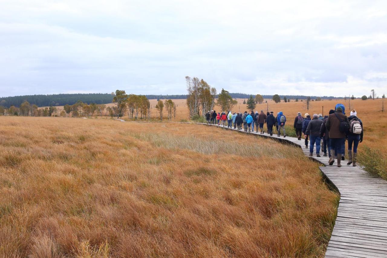 Le Brocard Des Fagnes - 16 Pers Malmedy Villa Eksteriør billede